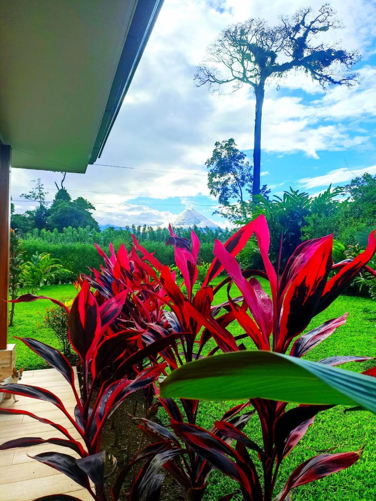 Villa Ceiba La Fortuna Eksteriør billede