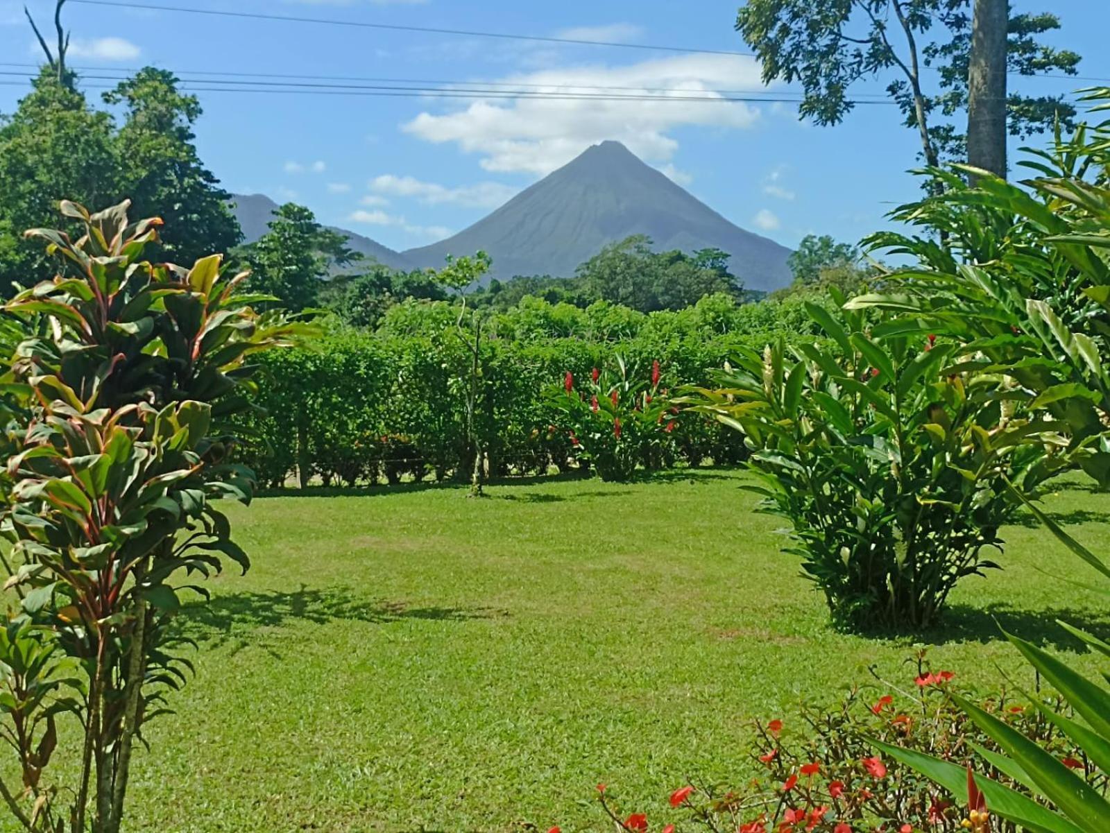 Villa Ceiba La Fortuna Eksteriør billede